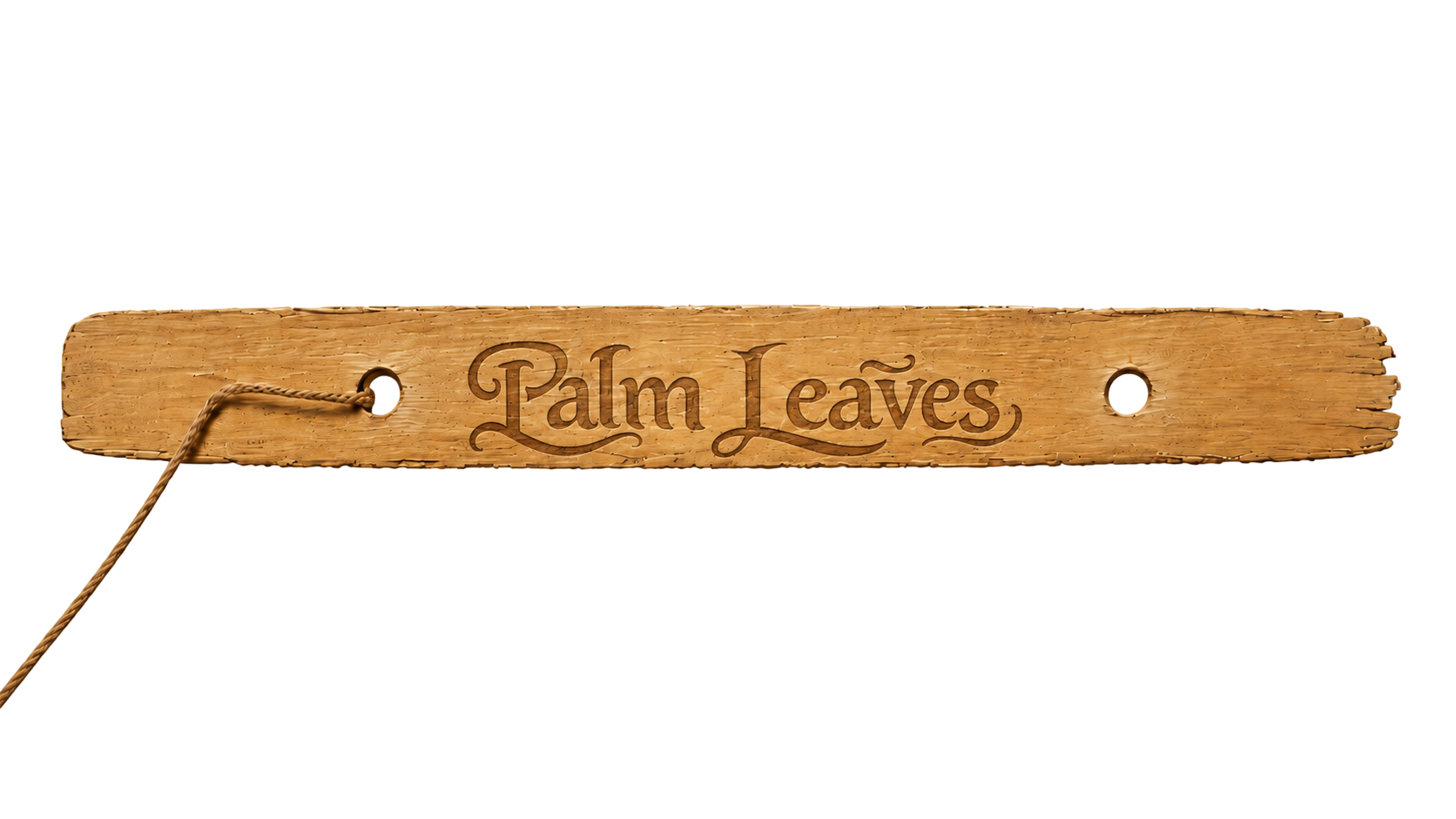 Palm Leaves